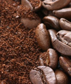 Colombia Pitalito Caturra Ground Coffee