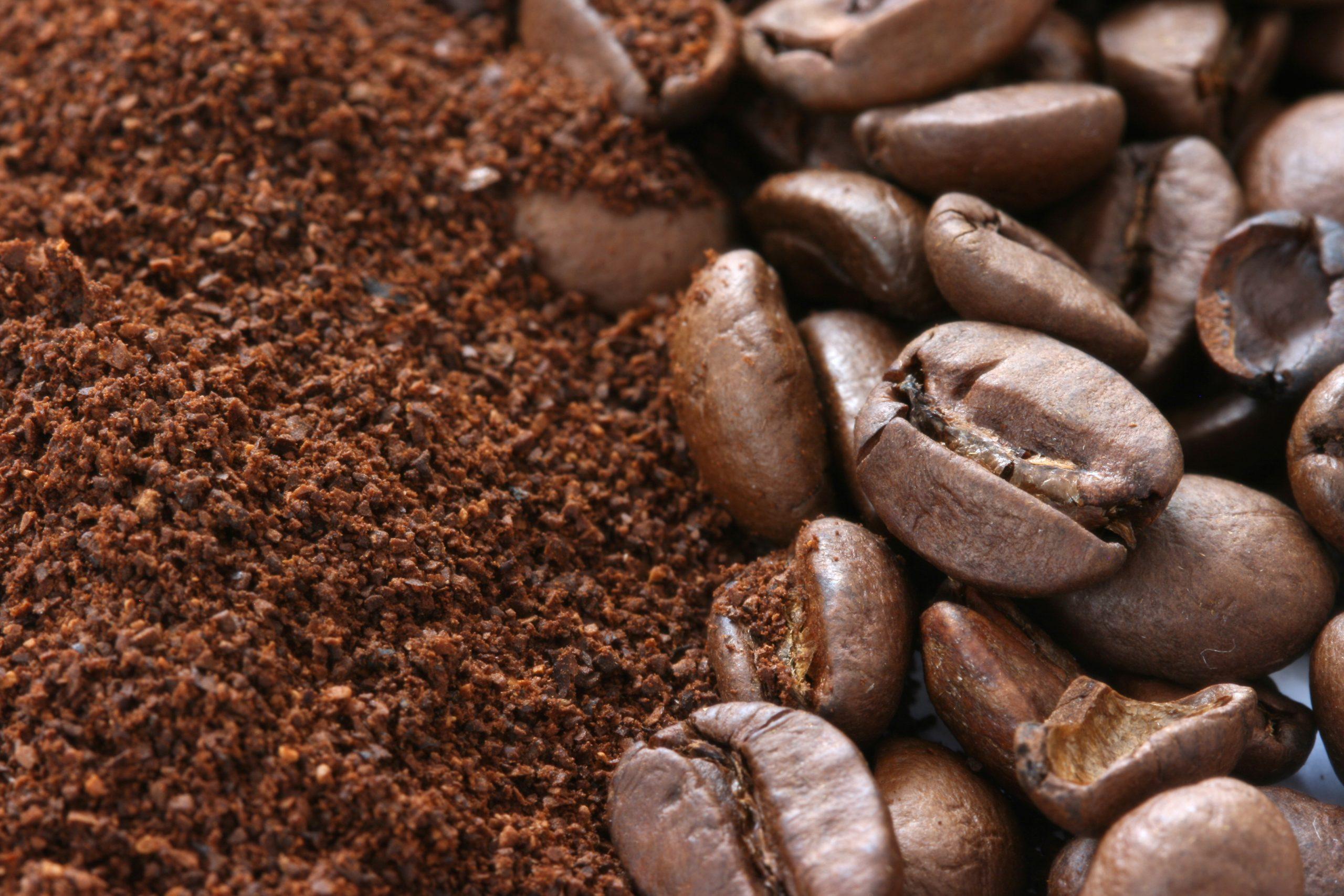 Colombia Pitalito Caturra Ground Coffee