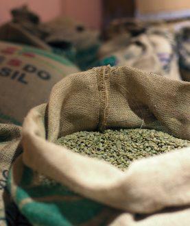 Brazil Salmo Plus Natural Green Coffee